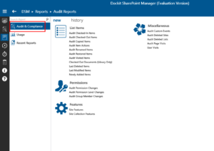 Audit reports