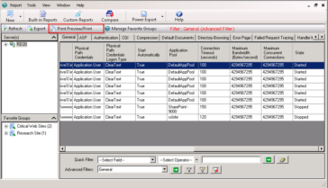 Preview and Print Reports